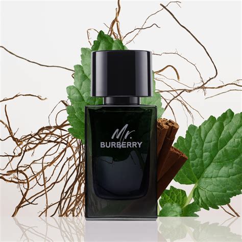 mr burberry eau de parfum basenotes|More.